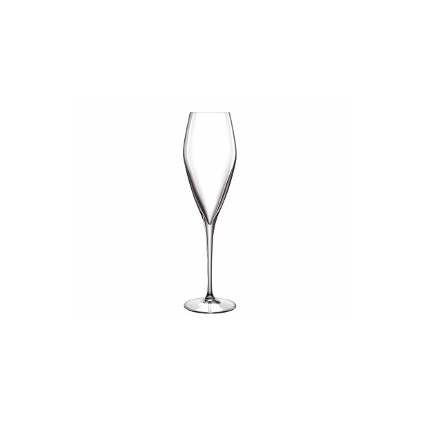 Kortfattet evig Uenighed Luigi Bormioli Atelier champagneglas - Glas - Nybom Vine